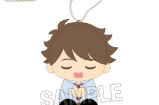 ハイキュー!! 座ぬい お昼寝ver. 及川 徹
 
2025年10月発売