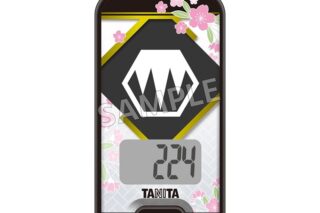 刀剣乱舞ONLINE 3Dセンサー搭載歩数計 刀剣乱舞ONLINEモデル 孫六兼元
 
2025年4月19日発売
で取扱中 (アニメイト)