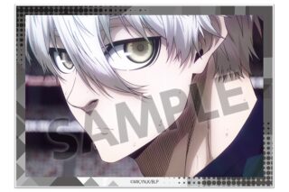 ブルーロック A6ビジュアルアクリルプレート vol.3 凪 誠士郎
 
2025年08月発売
で取扱中