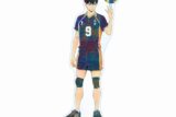 ハイキュー!! 影山飛雄 Ani-Art 第4弾 BIGアクリルスタンド【再販】
 アニメイトで
2025年6月17日発売
