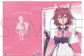 アニメウマ娘 シンデレラグレイ クリアファイル/サクラチヨノオー
 
2025年8月22日発売
 【アニメイト】