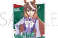 アニメウマ娘 シンデレラグレイ ステッカー/シンボリルドルフ
 
2025年8月22日発売