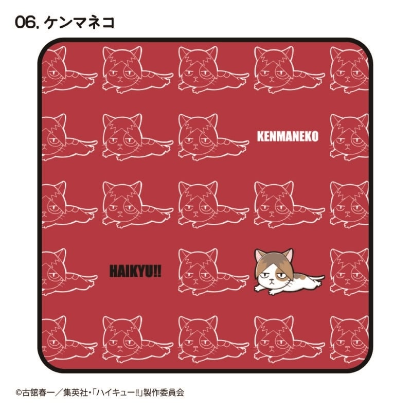ハイキュー!! マスコットハンドタオル ケンマネコ
 
2025年07月発売
で取扱中