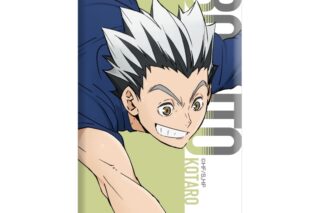 ハイキュー!! ミニアートスタンド 木兎光太郎 ～レシーブ～
 
2025年09月下旬発売