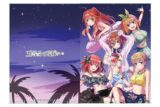 五等分の花嫁 ナイトプール クリアファイル 全員
 
2025年7月29日発売
で取扱中 (アニメイト)