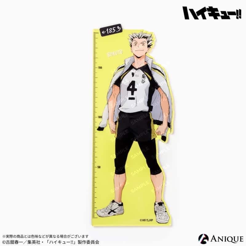 ハイキュー!! アクリル定規 木兎光太郎
 アニメイトで
2025年09月下旬発売