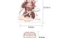 五等分の花嫁∽ エターナル・ドリーム アイコニック アクリル スタンド[RD][中野五月]
 
2025年10月発売
で取扱中 (アニメイト)