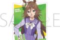 アニメウマ娘 シンデレラグレイ ステッカー/ミスターシービー
 
2025年8月22日発売