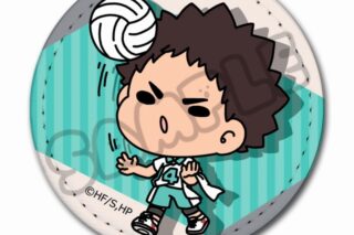 ハイキュー!! みんなmochocho化大作戦!第6弾 レザーバッジ M-IB(岩泉 一)
 
2025年06月下旬発売
で取扱中
