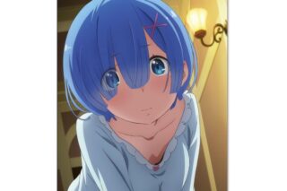 リゼロ B2タペストリー レム ナイトウェアver. キャラアニで
                                                2025年6月発売