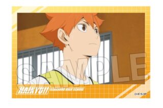 ハイキュー!! 積み積みブロック vol.7 3 キャラアニで
                                                2025年7月発売