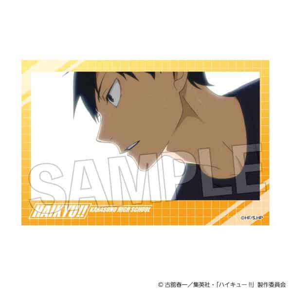 ハイキュー!! 積み積みブロック vol.7 4 キャラアニで
                                                2025年7月発売