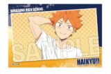 ハイキュー!! スタパネ ミニ vol.7 1 キャラアニで
                                                2025年7月発売