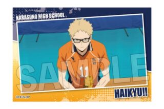 ハイキュー!! スタパネ ミニ vol.7 10 キャラアニで
                                                2025年7月発売