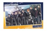 ハイキュー!! スタパネ ミニ vol.7 11 キャラアニで
                                                2025年7月発売