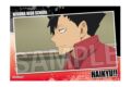 ハイキュー!! スタパネ ミニ vol.7 15 キャラアニで
                                                2025年7月発売