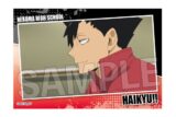 ハイキュー!! スタパネ ミニ vol.7 15 キャラアニで
                                                2025年7月発売