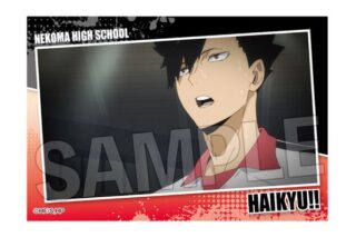 ハイキュー!! スタパネ ミニ vol.7 16 キャラアニで
                                                2025年7月発売