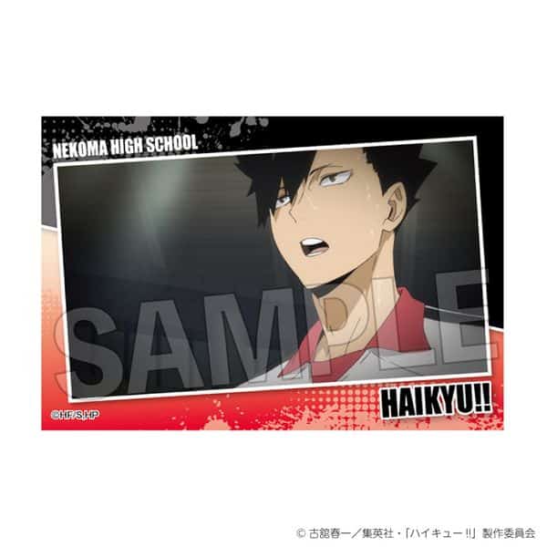 ハイキュー!! スタパネ ミニ vol.7 16 キャラアニで
                                                2025年7月発売