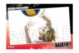 ハイキュー!! スタパネ ミニ vol.7 19 キャラアニで
                                                2025年7月発売