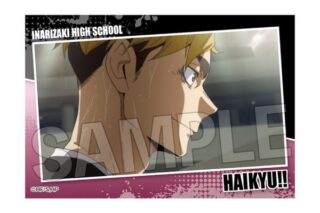 ハイキュー!! スタパネ ミニ vol.7 26 キャラアニで
                                                2025年7月発売