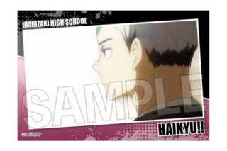 ハイキュー!! スタパネ ミニ vol.7 28 キャラアニで
                                                2025年7月発売