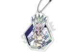 Dr.STONE れとぽぷ アクリルキーホルダー A 石神千空 キャラアニで
                                                2025年8月発売