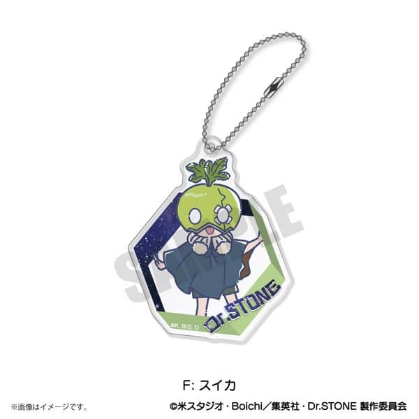Dr.STONE れとぽぷ アクリルキーホルダー F スイカ キャラアニで
                                                2025年8月発売