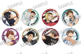 ハイキュー!! トレーディングメタリック缶バッジ vol.2 【1BOX】 キャラアニで
                                                2025年8月発売