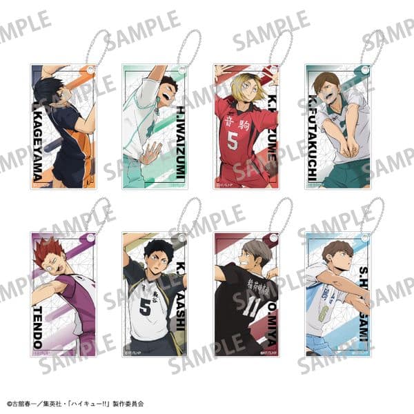 ハイキュー!! トレーディングスリムキーホルダー vol.2 【1BOX】 キャラアニで
                                                2025年8月発売