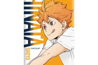 ハイキュー!! ミニアートスタンド 日向翔陽 〜レシーブ〜 キャラアニで
                                                2025年10月発売