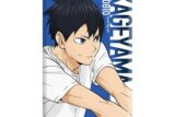 ハイキュー!! ミニアートスタンド 影山飛雄 〜レシーブ〜 キャラアニで
                                                2025年10月発売