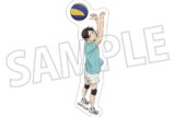 ハイキュー!! ダイカットステッカー 国見英 キャラアニで
                                                2025年7月26日発売