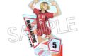 ハイキュー!! シャインシリーズ ホロアクリルスタンド 孤爪研磨 キャラアニで
                                                2025年8月発売