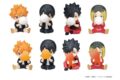 ハイキュー!! PERIHAPI! Hide & Seek かくれんぼ 烏野・音駒 【1BOX】 キャラアニで
                                                2025年12月発売
