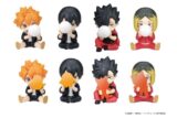 ハイキュー!! PERIHAPI! Hide & Seek かくれんぼ 烏野・音駒 【1BOX】 キャラアニで
                                                2025年12月発売