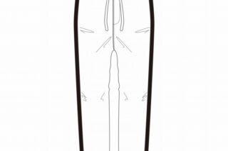 ハイキュー!! 高校ジャージ パンツ 稲荷崎高校 XL【再販】
 
2025年07月上旬発売
で取扱中