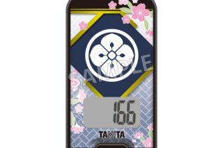刀剣乱舞ONLINE 3Dセンサー搭載歩数計 刀剣乱舞ONLINEモデル 南海太郎朝尊
 
2025年4月19日発売
で取扱中 (アニメイト)