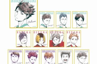 ハイキュー!! トレーディング Ani-Art ミニ色紙 Ver.B【再販】
 
2025年6月17日発売