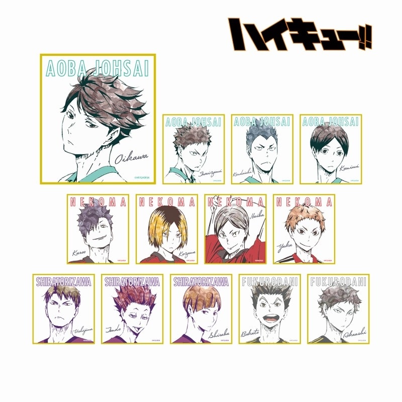 ハイキュー!! トレーディング Ani-Art ミニ色紙 Ver.B【再販】
 アニメイトで
2025年6月17日発売