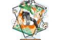 WIND BREAKER×サンリオキャラクターズ2 アクリルスタンド 桜遥×ポチャッコ
 
2025年10月発売
で取扱中 (アニメイト)
