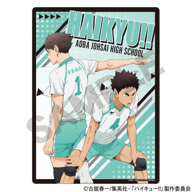 ハイキュー!! 下敷き 青葉城西高校
 
2025年06月発売