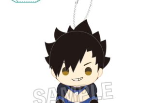 ハイキュー!! 指の上シリーズ ビブスver. 黒尾鉄朗
 
2025年05月発売
で取扱中