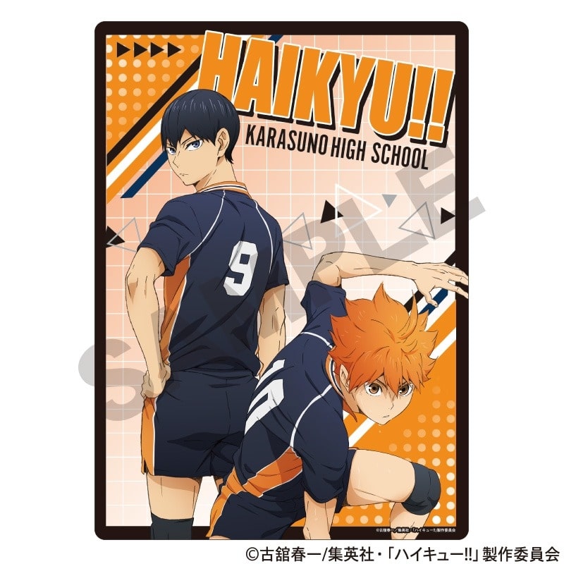 ハイキュー!! 下敷き 烏野高校
 
2025年06月発売