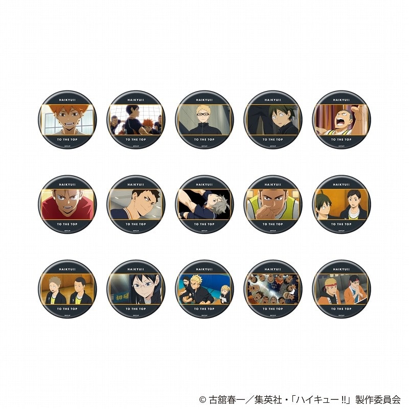ハイキュー!! 缶バッジ8月ブラインド(全15種)
 アニメイトで
2025年05月発売