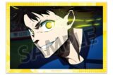 [アニメイト]ブルーロック A6ビジュアルアクリルプレート vol.3 蜂楽 廻
 
2025年08月発売