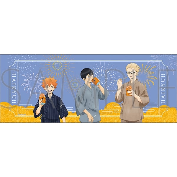 ハイキュー!! てぬぐい/B 烏野高校
 アニメイトで
2025年6月20日発売