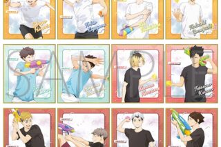 ハイキュー!! ミニ色紙コレクション/A
 アニメイトで
2025年6月20日発売