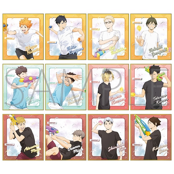 ハイキュー!! ミニ色紙コレクション/A
 アニメイトで
2025年6月20日発売