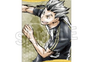 ハイキュー!! 激闘!!ペーパースタンド 木兎光太郎
 
2025年09月発売
で取扱中